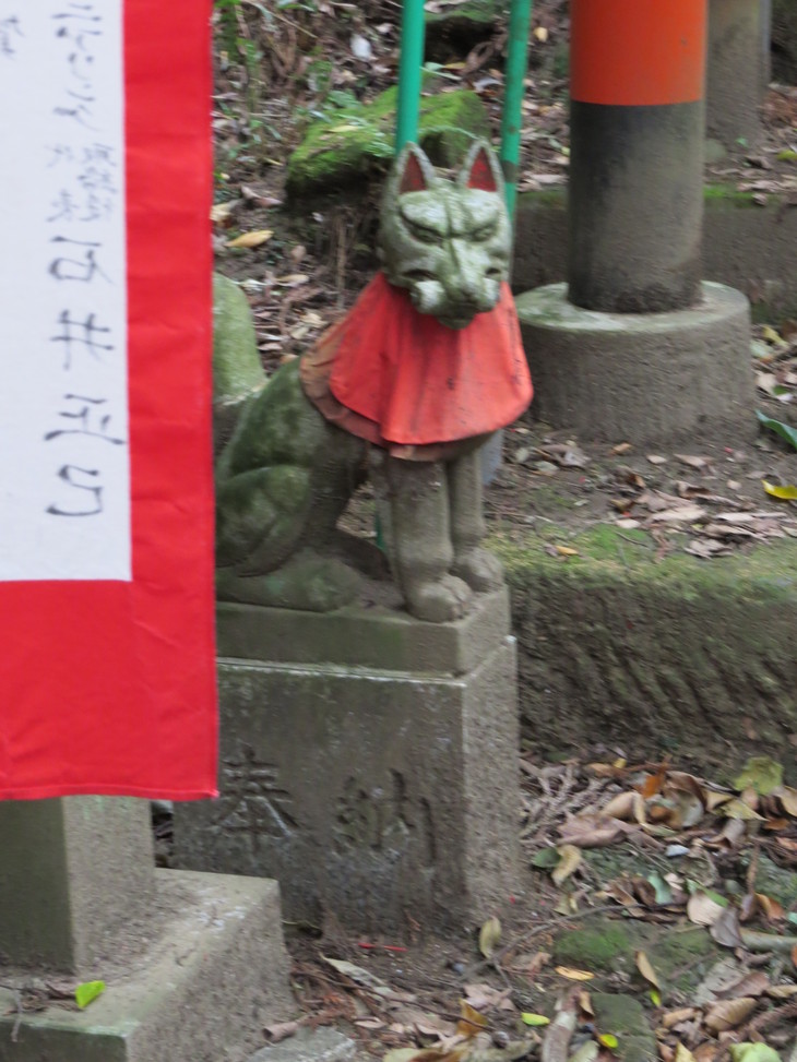 b0087914_951065.jpg