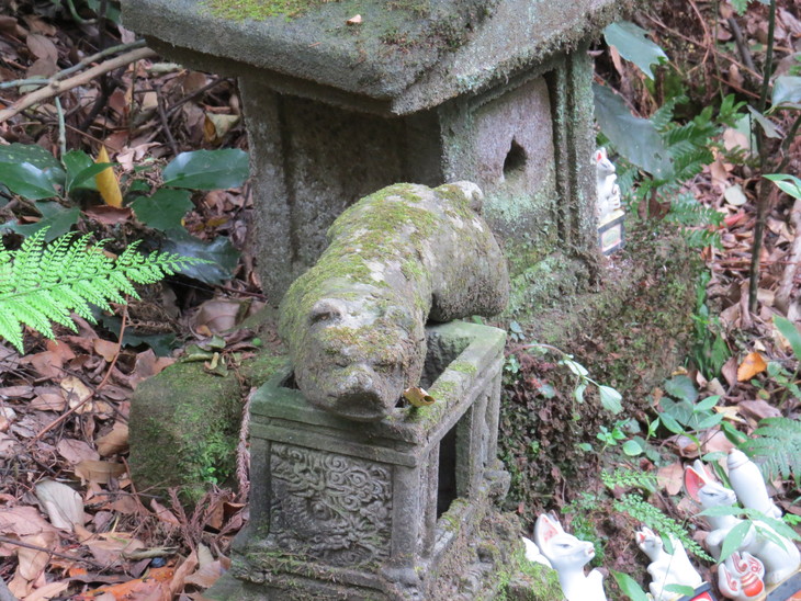 b0087914_9582250.jpg