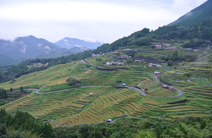 d0327814_9551781.jpg