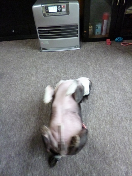c0280416_1164141.jpg