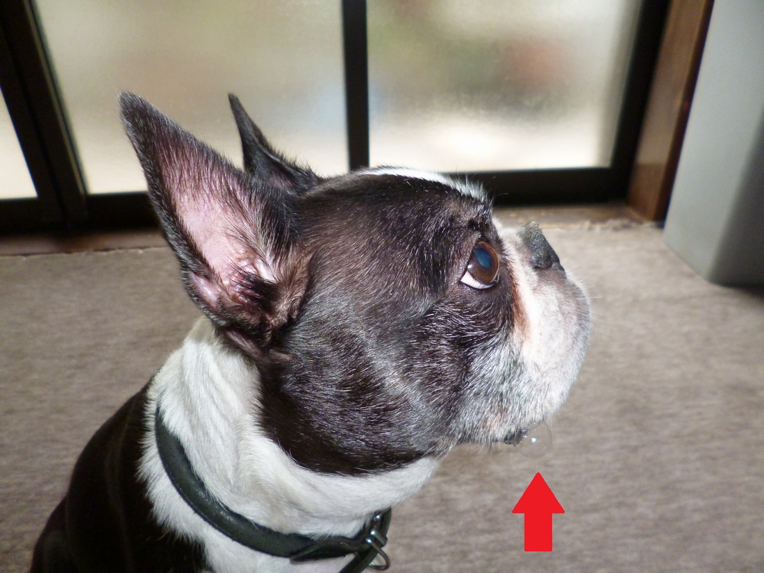 c0280416_1183221.jpg