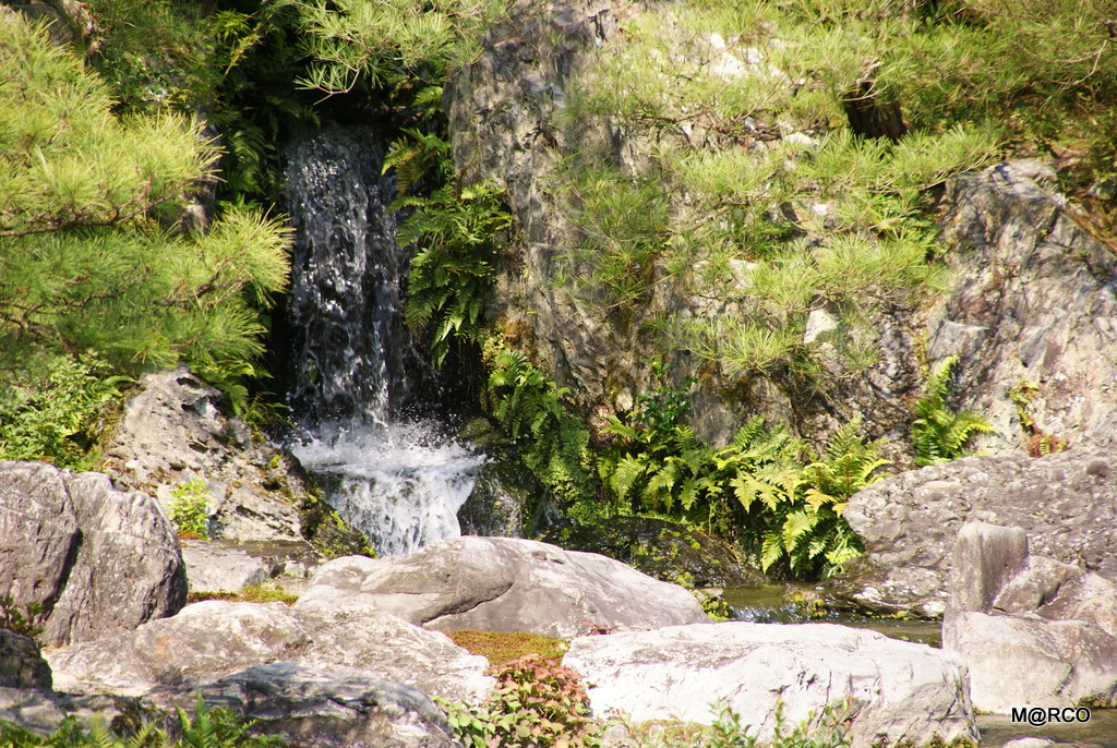 a0240721_21403669.jpg