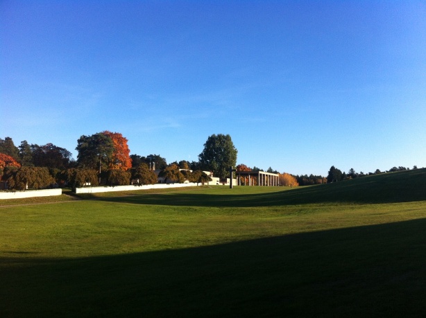 e0250023_65061.jpg
