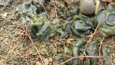 b0308627_811104.jpg