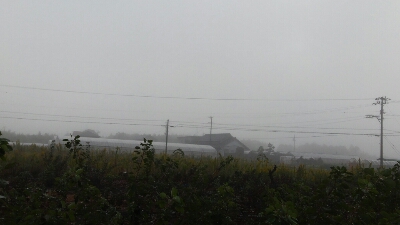 b0308627_8134860.jpg