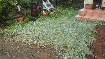 b0308627_838472.jpg