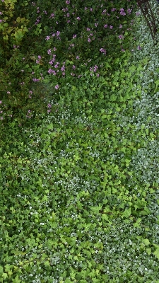 b0308627_8451142.jpg