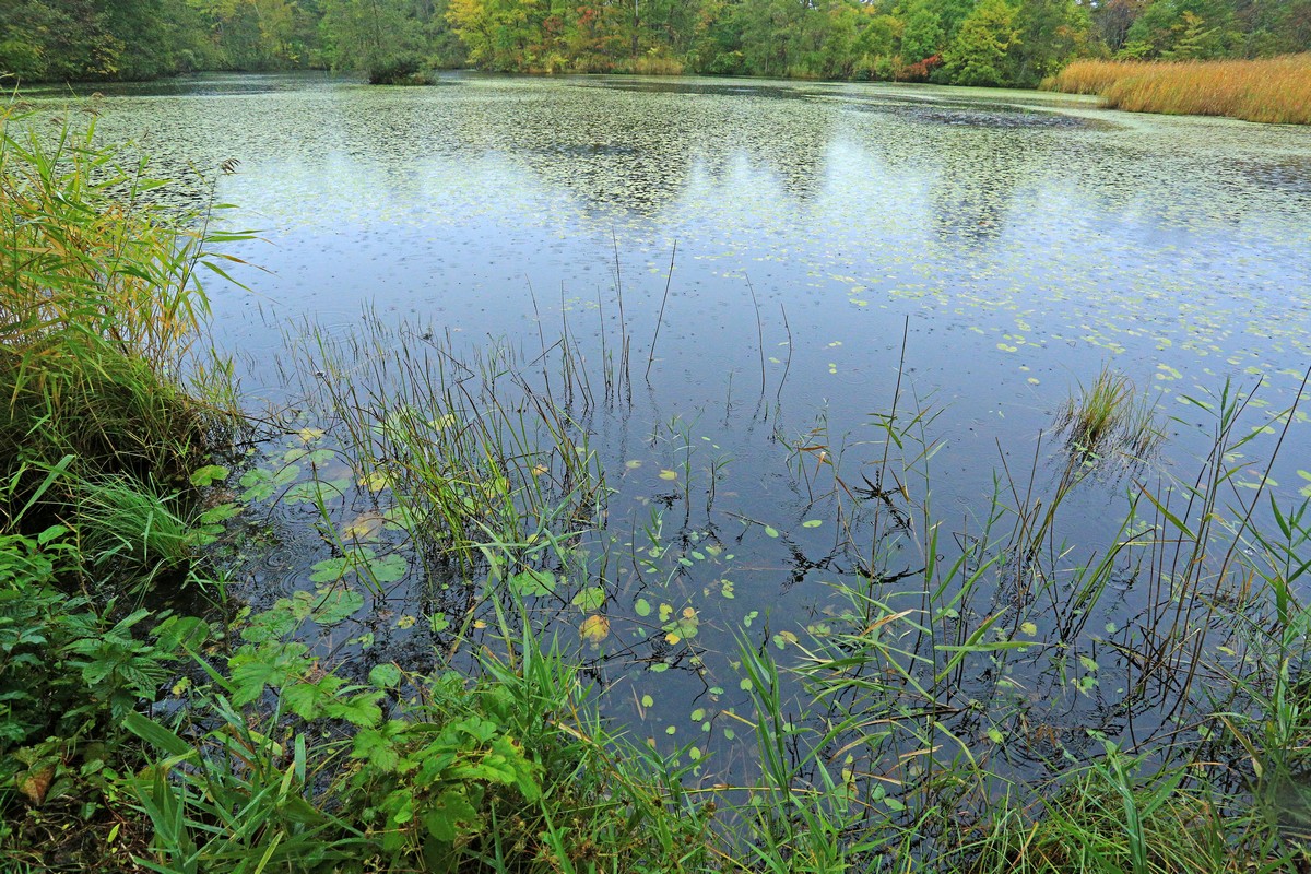 c0104227_1540399.jpg