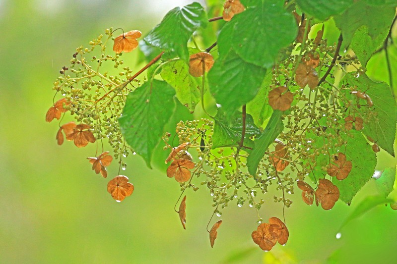 c0104227_17222824.jpg