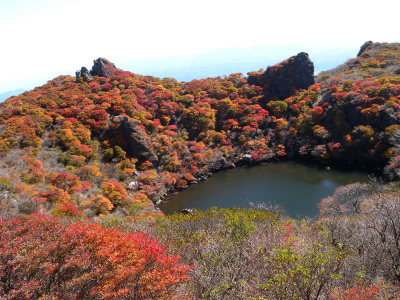 e0272335_210068.jpg