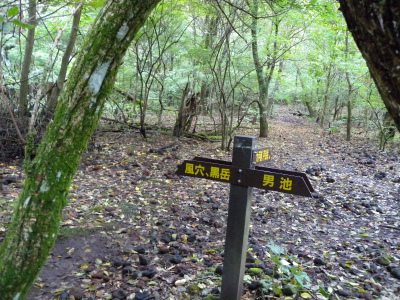 e0272335_21282322.jpg
