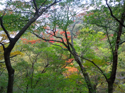 e0272335_21291950.jpg