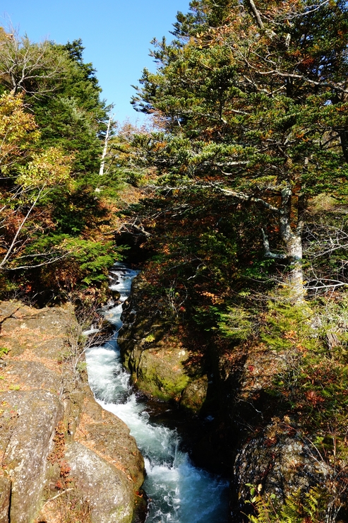a0287336_010212.jpg