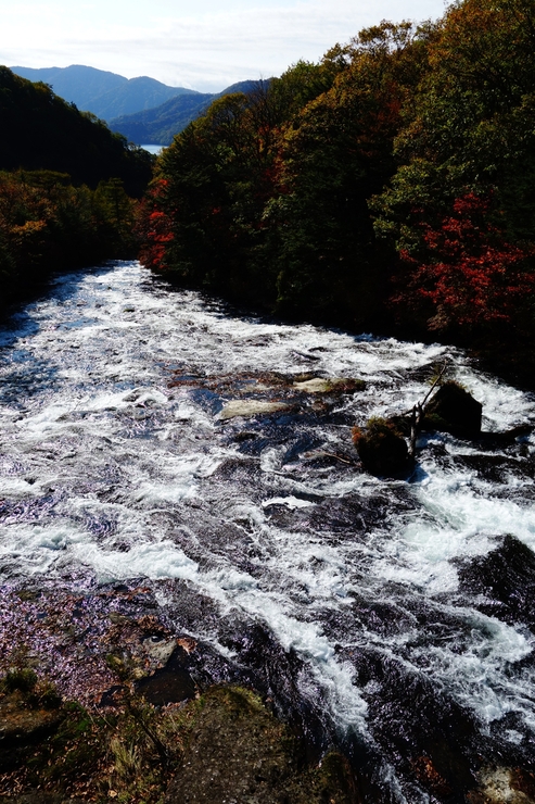 a0287336_0104330.jpg
