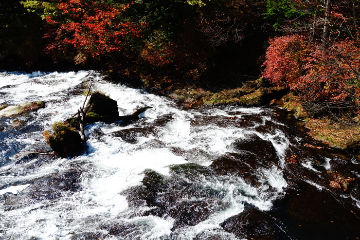 a0287336_011379.jpg