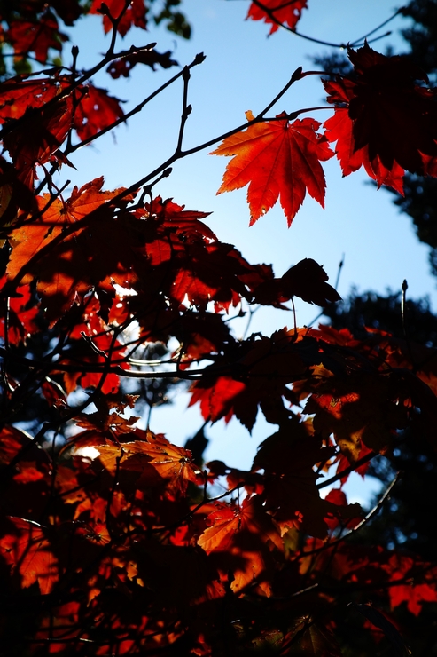 a0287336_0131587.jpg