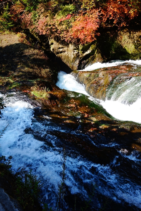 a0287336_083450.jpg