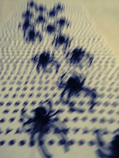 スパイダー_d0152937_21104758.jpg