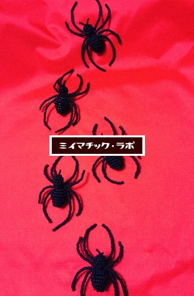 スパイダー_d0152937_218618.jpg