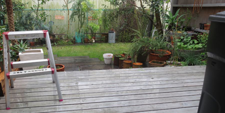 c0089242_853375.jpg