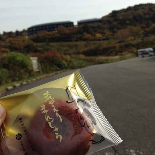 秋の栗駒山登山と 絶景かな栗駒山荘 その2_c0261447_223293.jpg