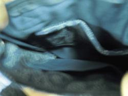 d0197949_21551124.gif