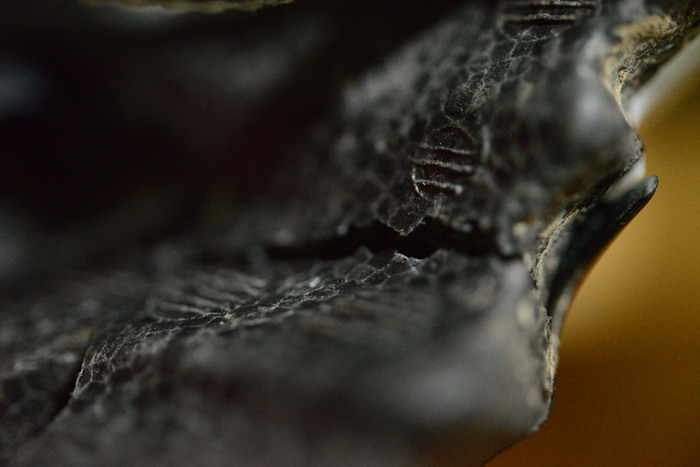 f0114954_23371015.jpg