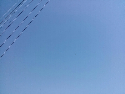 e0227957_7415939.jpg