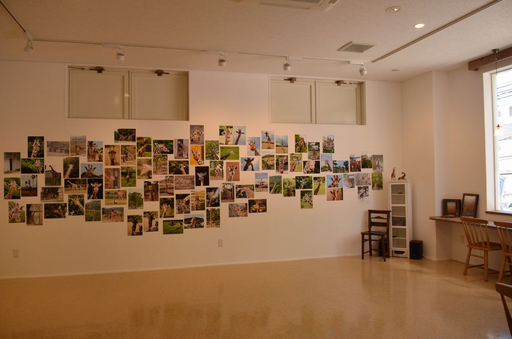 b0024758_0452679.jpg