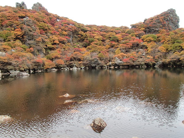 b0276758_14542831.jpg