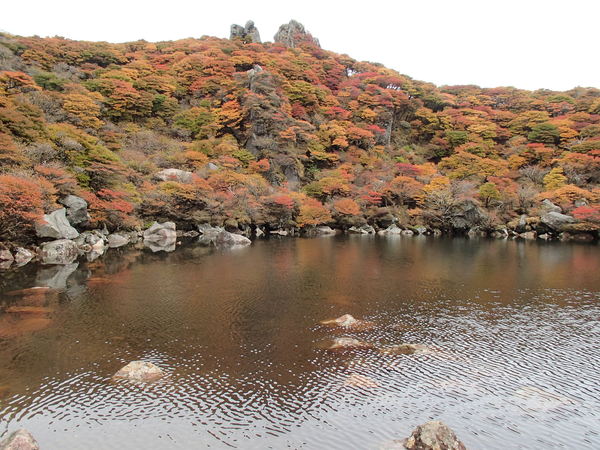 b0276758_14553763.jpg