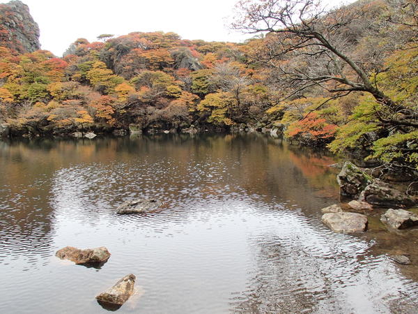 b0276758_14561223.jpg