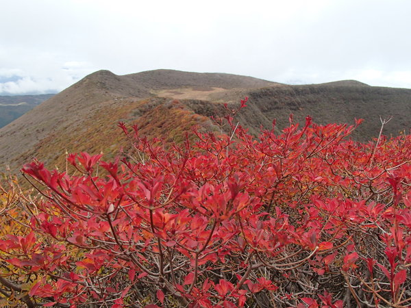 b0276758_1564988.jpg