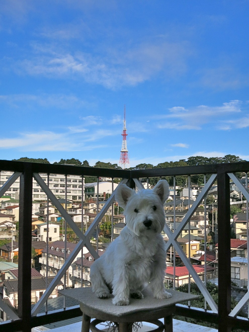 おわった、おわった、おわったぁ。。♪_c0260460_936911.jpg
