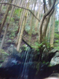 d0045362_21241222.jpg