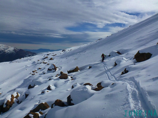 d0110562_813028.jpg