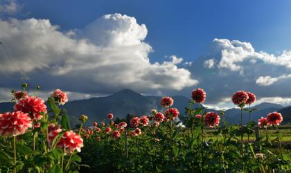 鷲峰山には暑い雲がかかってましたが天気はよかったですね...._b0194185_22413163.jpg