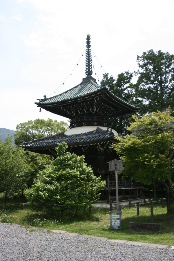 清涼寺 阿弥陀如来像_b0118987_6375119.jpg