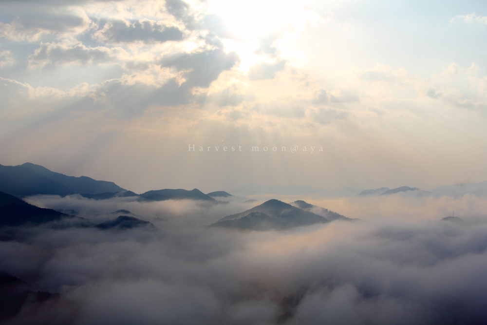 雲の上_b0208495_20551471.jpg