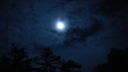 残照の月と雲海の朝_e0120896_6453578.jpg