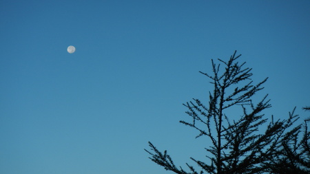 残照の月と雲海の朝_e0120896_647026.jpg