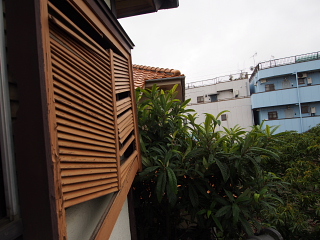 c0039501_1793246.jpg