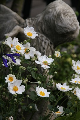 a0123003_20392640.jpg