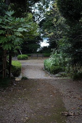 b0147203_2251916.jpg