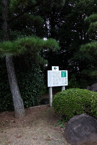 b0147203_22521055.jpg