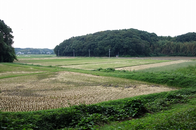 b0147203_2257229.jpg