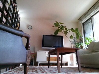 f0203203_1952114.jpg