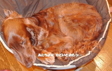 a0134004_2344688.jpg