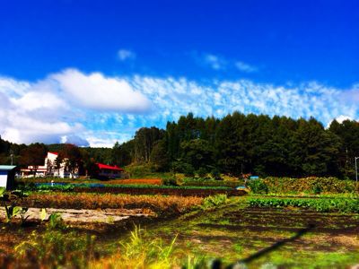 何気ない一日_f0051306_13263295.jpg