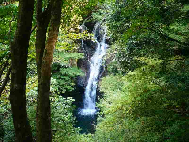 f0182513_23542333.jpg